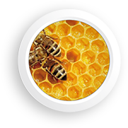 Bijenwas honingraad extract