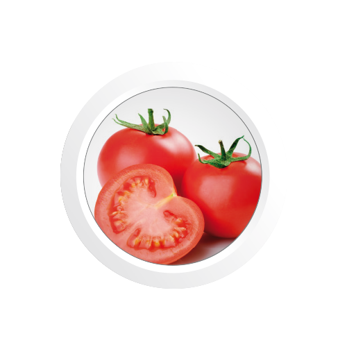 Tomatenstamcellen