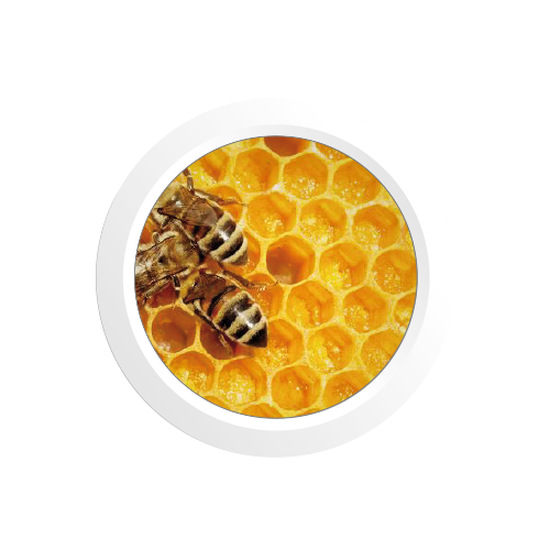 Extrait de cire d’abeille